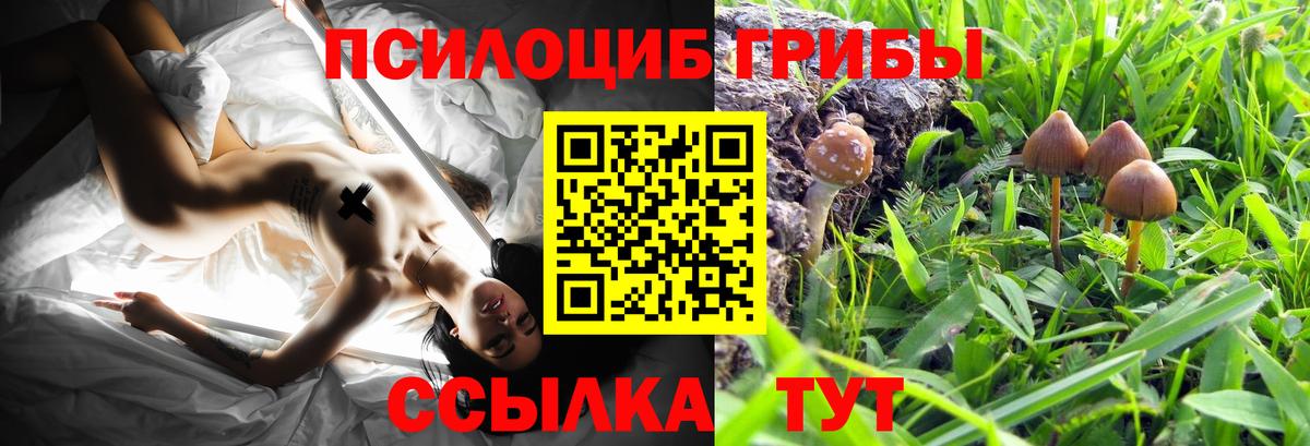 Псилоцибиновые грибы мицелий  Вход с VPN  Зима 